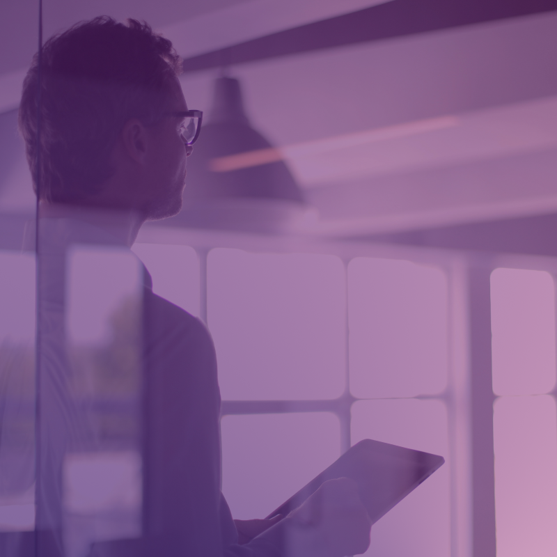 consultants and system integrators